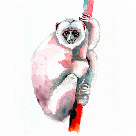 Silky Sifaka | Ray Wang Art