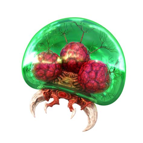 Metroid larva | Wikitroid | FANDOM powered by Wikia