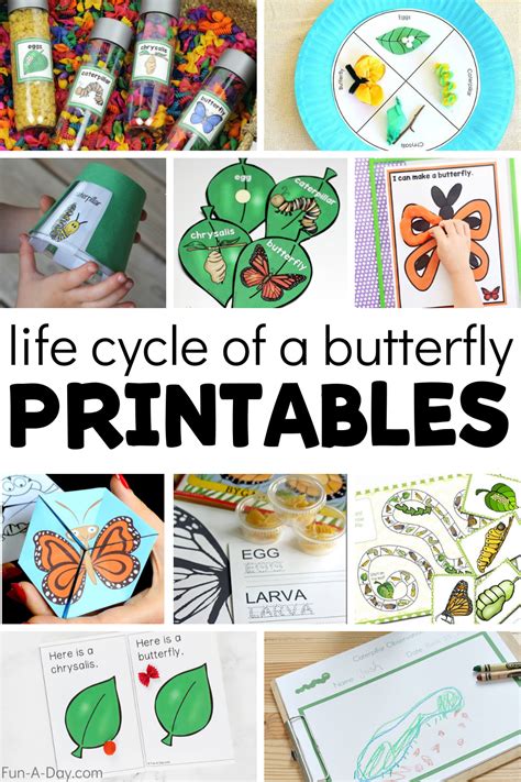 15 Free Life Cycle of a Butterfly Printables - Fun-A-Day!