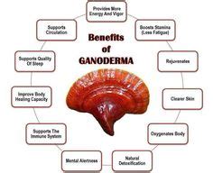 10 Best Benefits of Ganoderma Lucidum images | Ganoderma lucidum ...