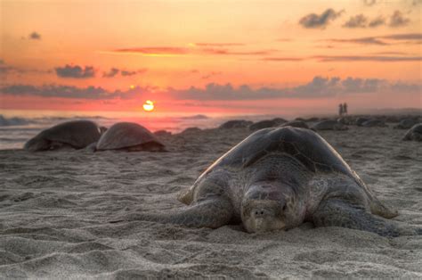 Fotos gratis : playa, mar, agua, naturaleza, arena, Oceano, cielo ...