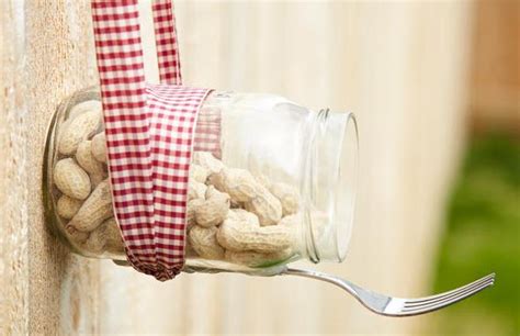 DIY Hanging Jar Squirrel Feeder - petdiys.com