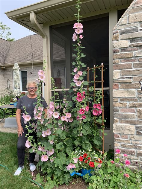 Pin by Deborah Duncan on Flowers in 2024 | Backyard garden design ...