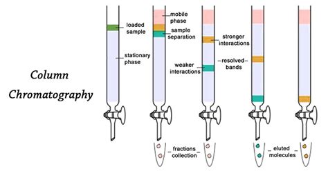 Column Chromatography- Definition, Principle, Parts, Steps, Uses | Thin ...