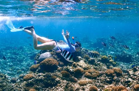 Best Snorkel Spots in PR Blog Post | Snorkeling Puerto Rico