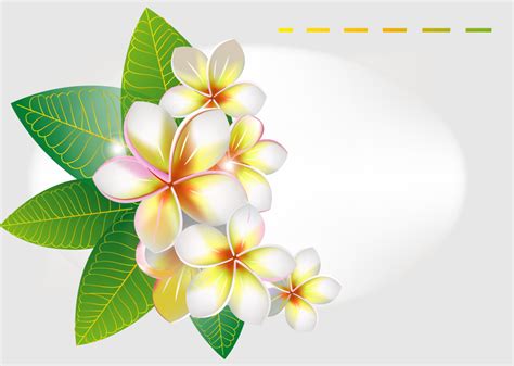 11 Frangipani Vector Free Images - Water Lily Vector, Frangipani ...