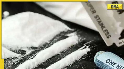 Meow Meow drug worth Rs 1000 crore seized in Gujarat: Know more about ...