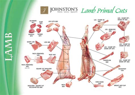 Lamb – Meat Cutting and Processing for Food Service