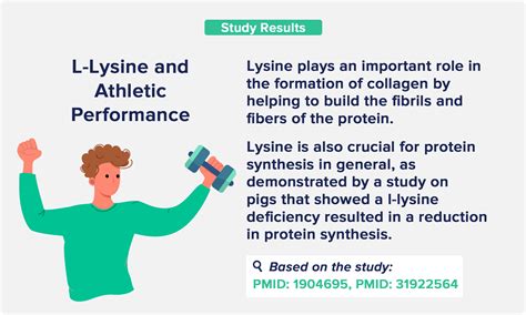 L-Lysine Benefits: From Anxiety to Muscle Growth - The Nutrition Insider