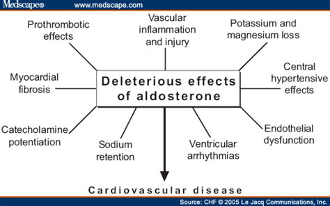 Role of aldosterone in