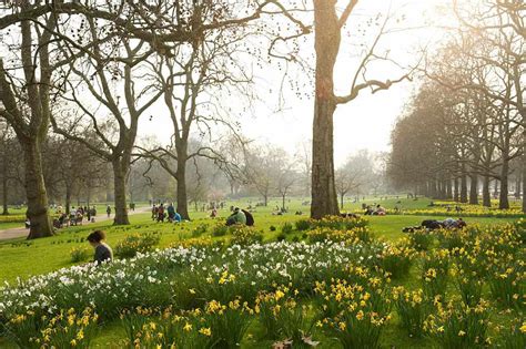 March in London: Weather and Event Guide