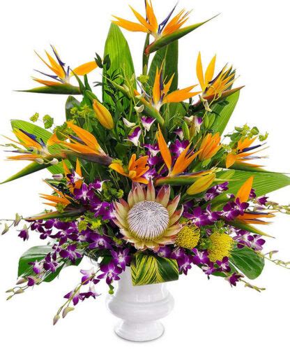 Hawaiian Sunset | Wild Orchid Des Moines Florist - Des Moines Flower Shops