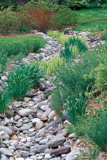 How to Design a Rain Garden | Garden Design