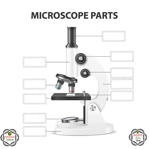 Parts of a microscope with labeled diagram and functions Biology Notes Web