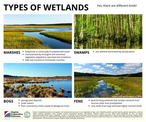 File:Types of wetlands.jpg - Minnesota Stormwater Manual