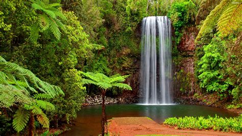 Tropical Waterfall Serenity - 4K Ultra HD Wallpaper