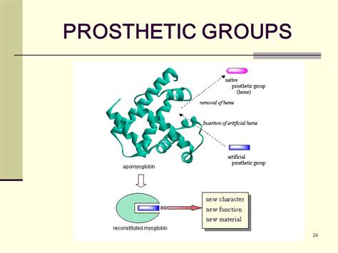 ENZYMES. - ppt download