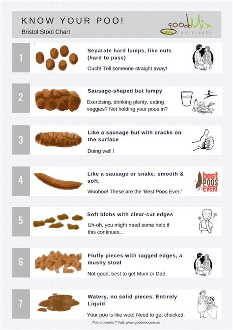 Bristol Stool Chart: Teaching Kids What’s Normal | Bristol stool chart ...