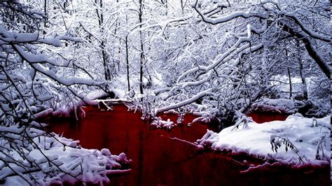 Fondos de pantalla : paisaje, bosque, agua, naturaleza, cielo, nieve ...