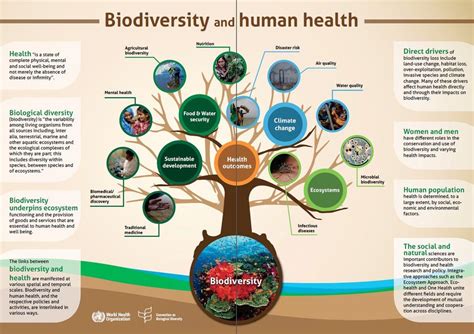 Biodiversity and Human Health | Biodiversity, Health, World health day