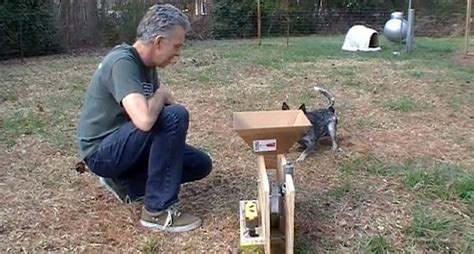 The 22 Best Ideas for Automatic Dog Ball Launcher Diy – Home, Family ...