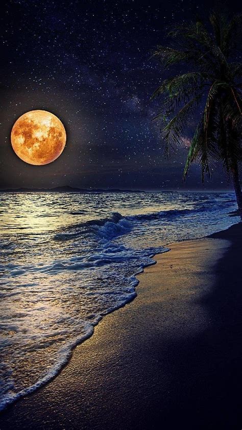 Download Tropical Beach Ocean Night Earth Nature Moon Image