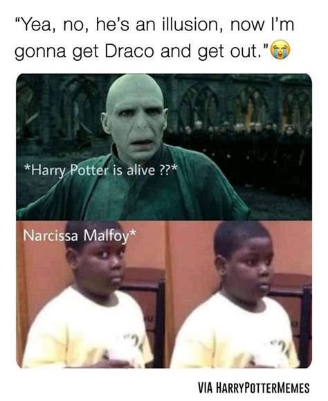 Harry Potter Memes For Fans Of The Books And The Movies in 2023 | Harry ...