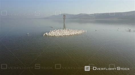 OverflightStock™ | Aerial View of Lake Nakuru and Pink Flamingos ...