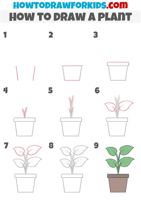 How to Draw a Plant - Easy Drawing Tutorial For Kids