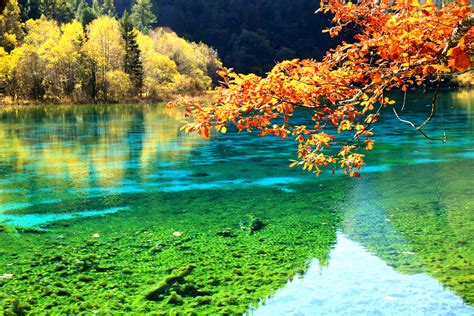 Jiuzhaigou Valley - Jiuzhaigou Attractions - China Top Trip