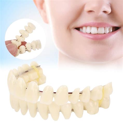 Buy 280pcs/10 Set Resin Denture False Teeth, Dental Teeth Teaching ...