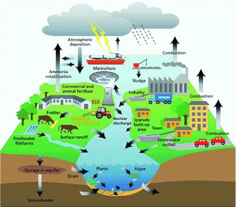 Sources of groundwater contamination in the hydrologic cycle. 4 ...