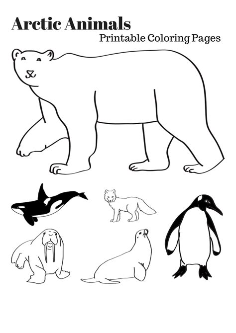 Arctic Animals Coloring Pictures