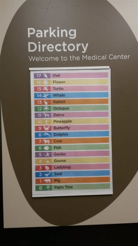 Kapiolani Medical Center - Obstetricians & Gynecologists - Honolulu, HI ...