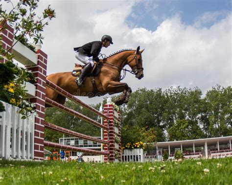 Horse jumping competition editorial photo. Image of equitation - 43248186