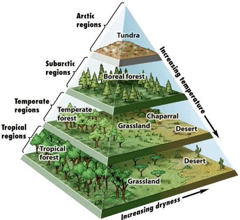 Ecosystems and Sustainability | Geography Revision