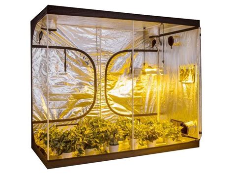 Best Grow Tent Setup Guide | Build the Perfect Indoor Grow Tent