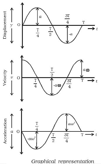 Graphical Representation of S.H.M - Study Material for IIT JEE (Main ...