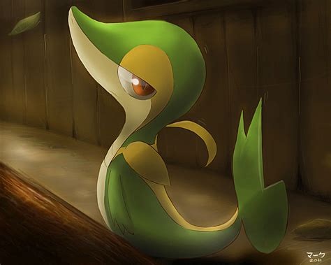 Pokemon: Snivy by mark331 on DeviantArt