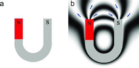 (a) U-shaped magnet. (b) Simulated magnetic field around the magnet ...