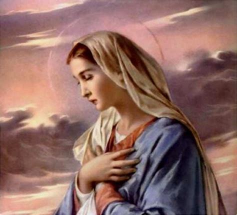 54 DAY ROSARY NOVENA: DAY 23 – DEVOTION TO MARY - Roman Catholic Man