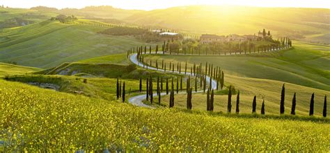 7 Best Vineyard Stays in Tuscany to Book for 2025