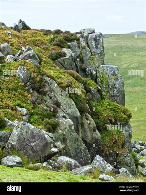 Outcrops of Preseli Bluestone source of rocks of the inner circle of ...