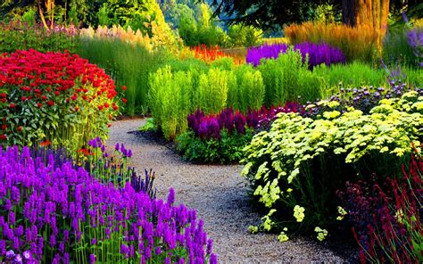 Vibrant Park Pathways: A Stunning HD Wallpaper