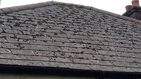 Asbestos in roofs and flat roofs | Strandek