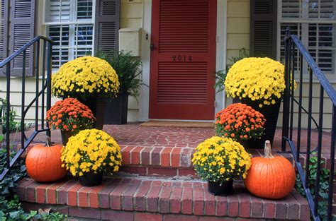 Fall Porch Decor Mums