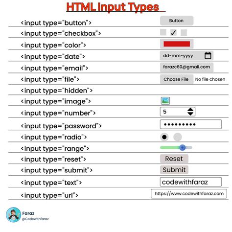 Understanding the HTML Input Tag and Its Types: A Comprehensive Guide