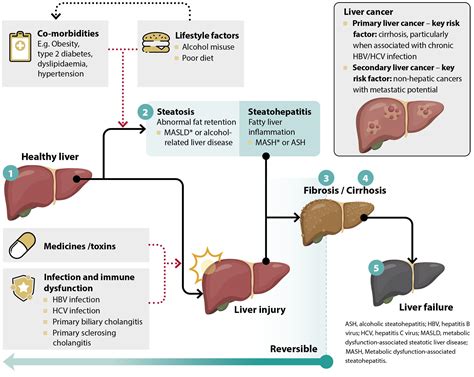 Symptoms Of A Bad Liver Function