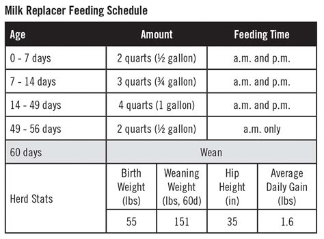 Best practices for raising healthy Jersey calves