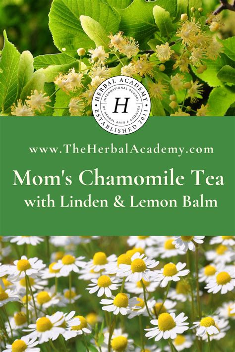 Mom’s Chamomile Tea Recipe with Lemon Balm and Linden Flower – Herbal ...